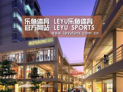 案例展示一(图1)