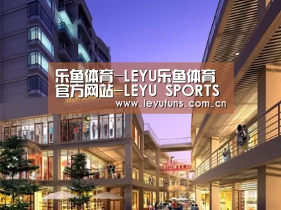 案例展示一