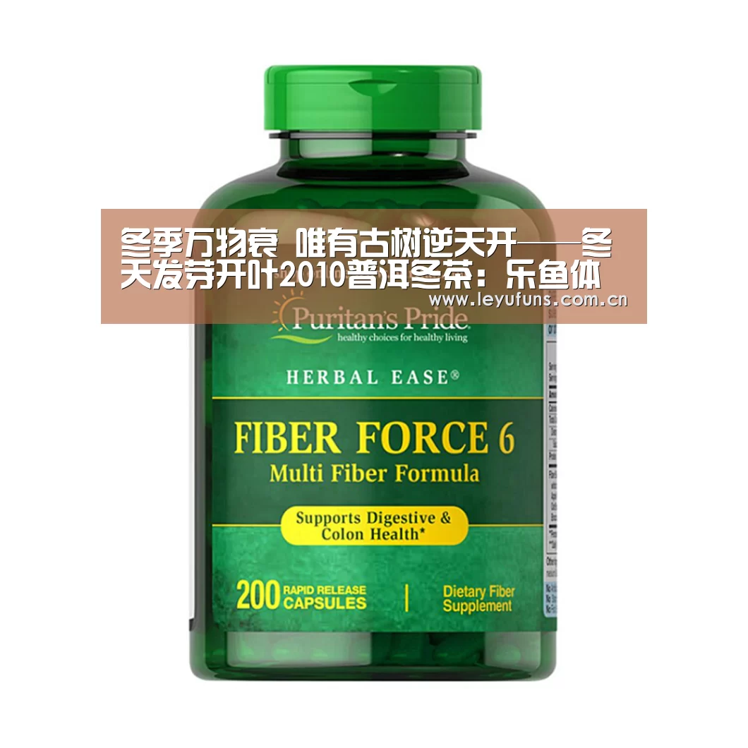 冬季万物衰 唯有古树逆天开——冬天发芽开叶2010普洱冬茶:乐鱼体育(图3) 乐鱼登陆