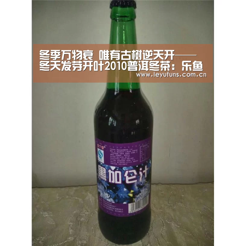 冬季万物衰 唯有古树逆天开——冬天发芽开叶2010普洱冬茶:乐鱼体育(图2) 乐鱼app