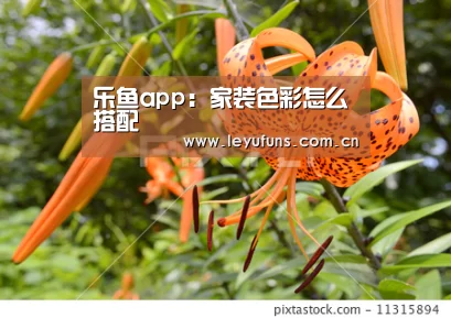 乐鱼app:家装色彩怎么搭配(图2) 乐鱼登陆