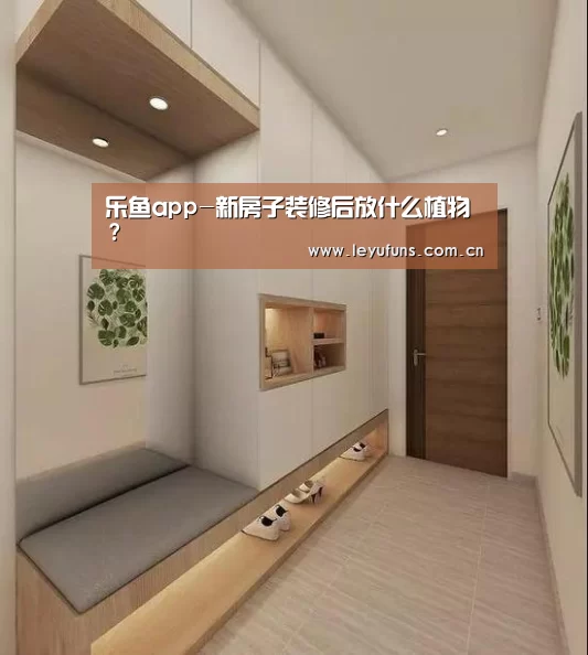 乐鱼app-新房子装修后放什么植物?(图1) 乐鱼登陆