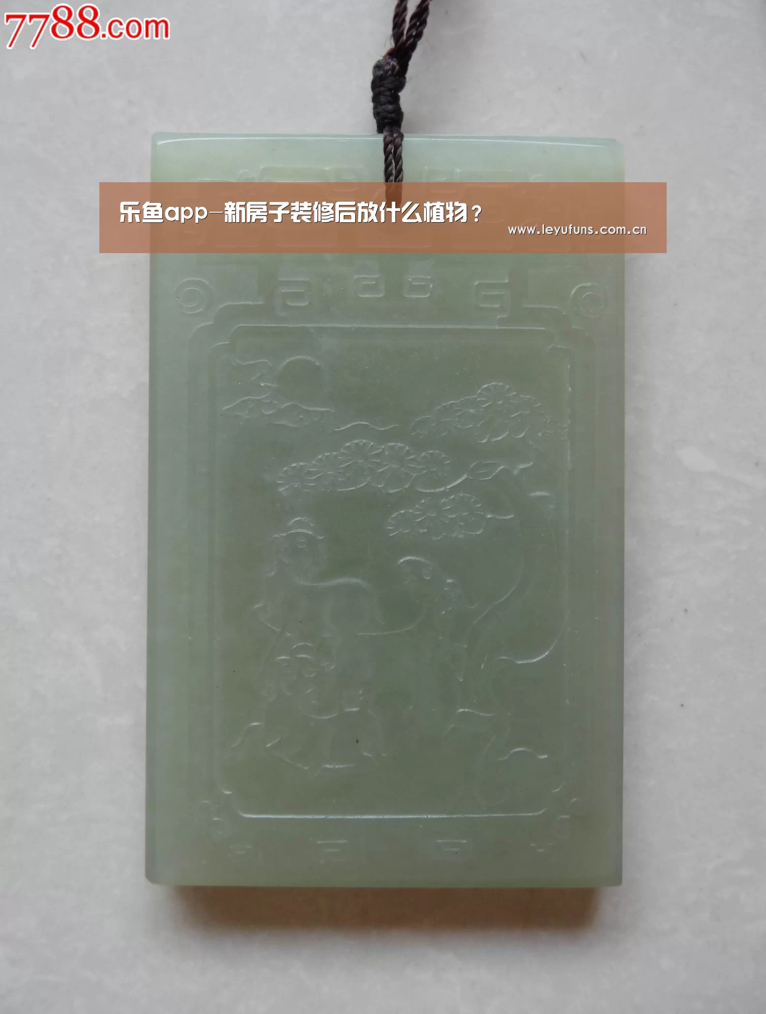 乐鱼app-新房子装修后放什么植物?(图2) 乐鱼