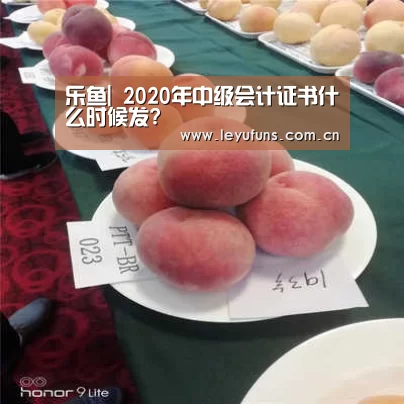 乐鱼体育