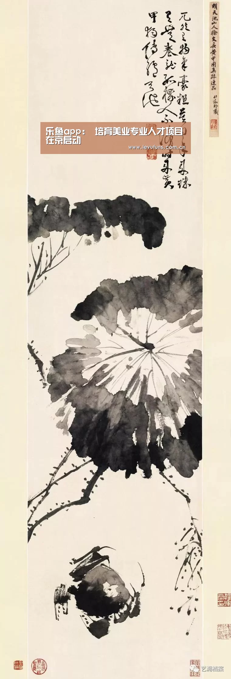 乐鱼登陆