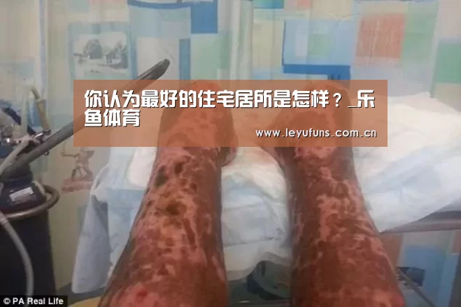 乐鱼