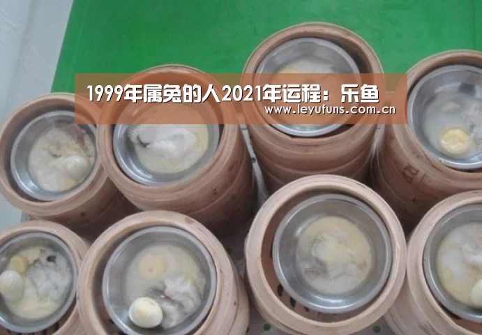 1999年属兔的人2021年运程:乐鱼(图4) 乐鱼