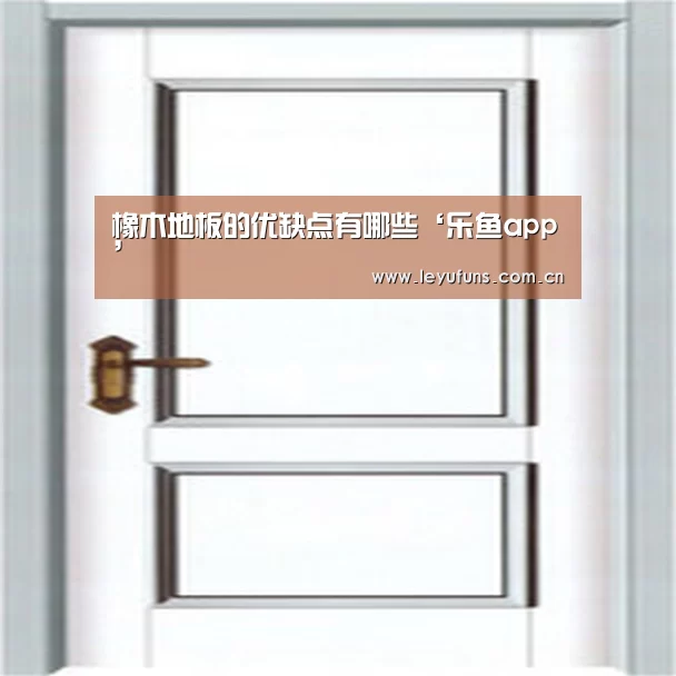 乐鱼体育