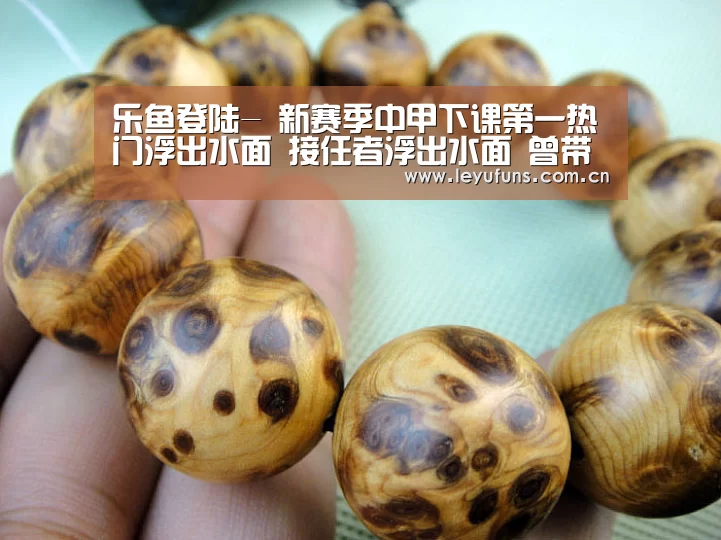 乐鱼登陆