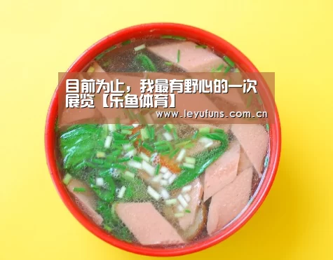 目前为止,我最有野心的一次展览【乐鱼体育】(图2) 乐鱼app