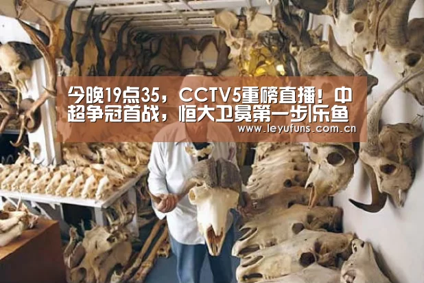 今晚19点35,CCTV5重磅直播!中超争冠首战,恒大卫冕第一步|乐鱼(图3) 乐鱼体育