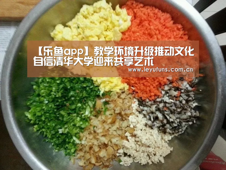 【乐鱼app】教学环境升级推动文化自信清华大学迎来共享艺术(图1) 乐鱼登陆