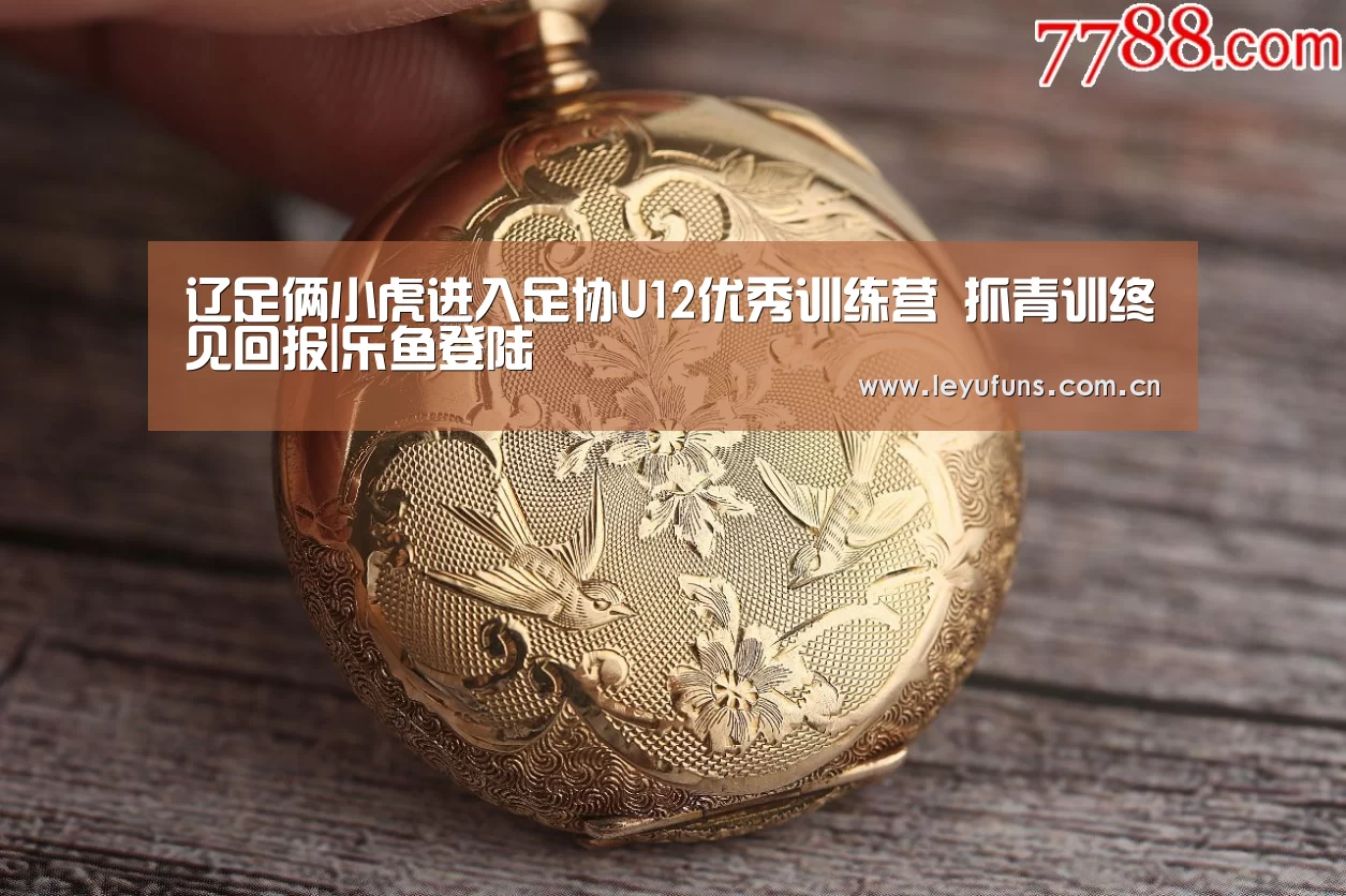 辽足俩小虎进入足协U12优秀训练营 抓青训终见回报|乐鱼登陆(图2) 乐鱼登陆